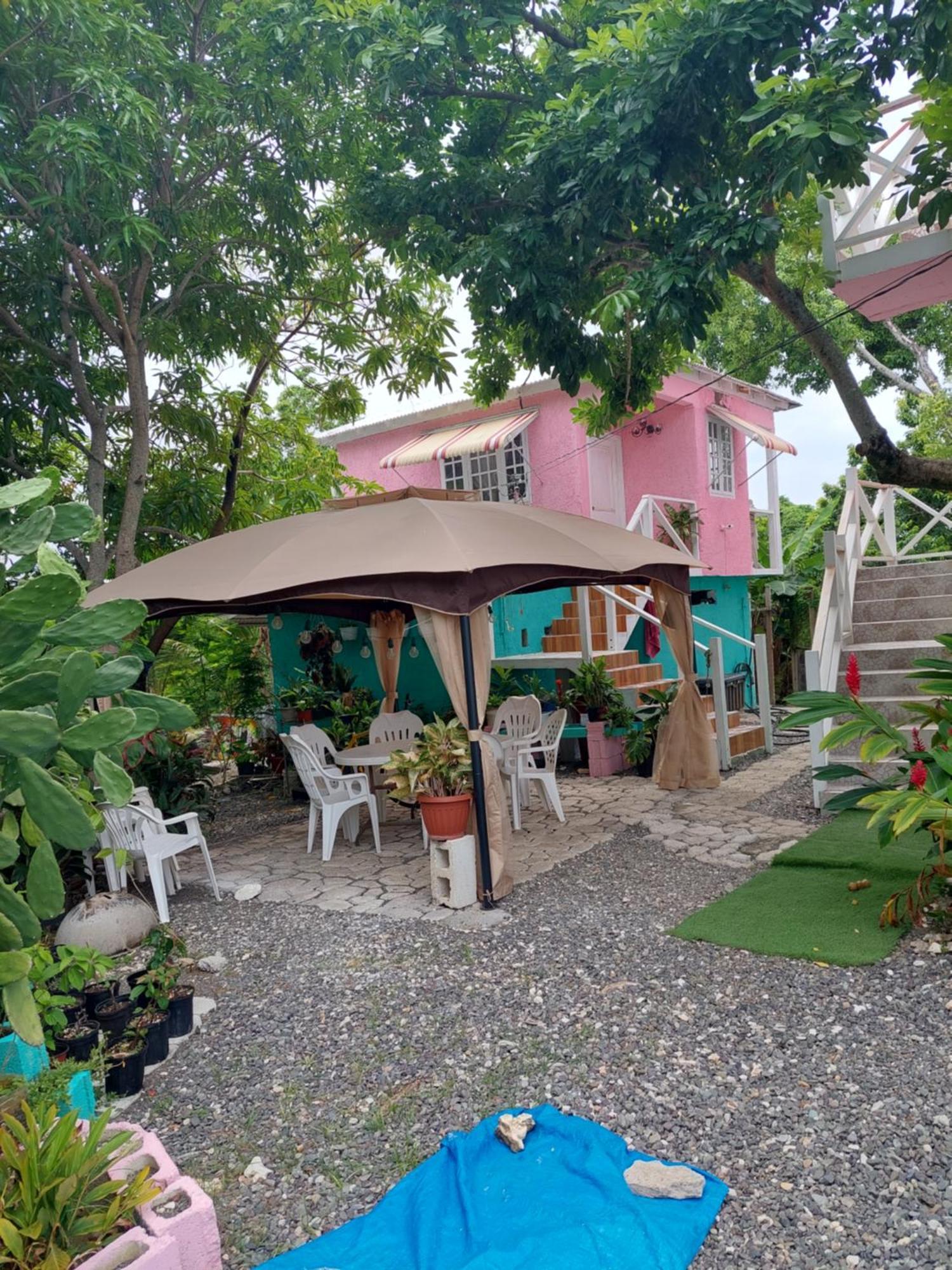 Alex'S Place - Tim Pappies Port Antonio Kültér fotó